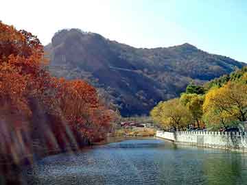 新澳天天开奖资料大全旅游团，自助中餐加盟